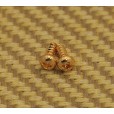 GS-3206-002 (2) Gold Truss Rod Cover Screws