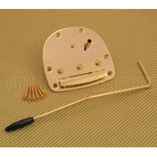 SB-0211-002 Gold Jazzmaster Jaguar Tremolo Tailpiece