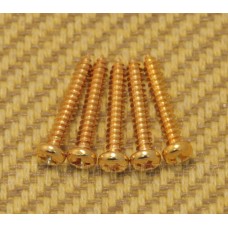 TPMS-G (5) Gold Trapeze Tailpiece Mounting Screws