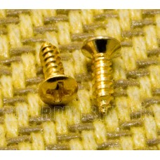 006-5619-000 (2) Gold Guild Truss Rod Cover Screws 0065619000