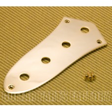 AP-0640-G Gold Jazz Bass Control Plate Large Potentiometer CTS Holes