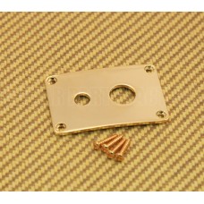 DHJP-G Gold Rectangle Dual Hole Jack Plate For Guitar/Bass w/Screws 