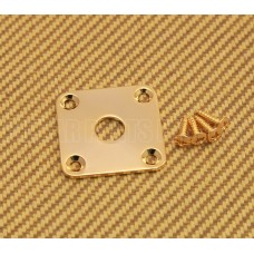 FSJP-G Gold Flat Square Metal Jack Plate For Guitar or Bass with Screws