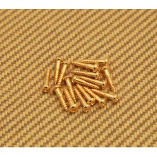 GS-0006-002 16 Tuner Machine Head Mounting Screws  Gold Guitar Or Bass