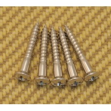 GS-0063-001 (5) Nickel Mounting Screws for Tele Bridge