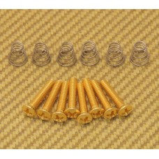 GS-0064-002 Vintage Gold Countersunk Pickup or Switch Screws and Springs Fender Strat