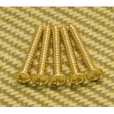 GS-3025-GD 5 Gold Bass Bridge and Hardtail Guitar Mounting Screws