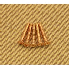 GS-B013-002 (5) Gold Bridge Mounting Screws #6 X 1"