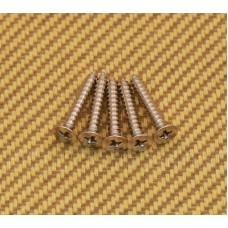 GS-B013-F01 (5) Nickel Flat Head Bass Bridge Mounting Screws