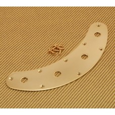 MMCP-G Gold Music Man Style Bass Control Plate