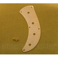 PBTP-G Gold Custom "No Pickguard" Control Plate for P Bass & Similar