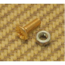 PL3010GD Gold Pickguard Bracket Screw & Nut