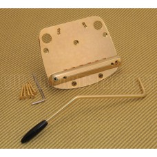 SB-0224-002 Gold Tremolo Tailpiece Assembly & Arm for Mustang Guitar