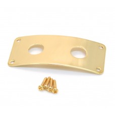 SMJP-G Gold Finish Metal Rectangle Dual Holes Stereo 1/4