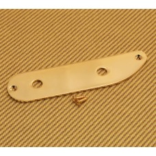 TBCP-2G Custom Gold Finish 2-hole Tele/SCPB Bass® Style Control Plate 