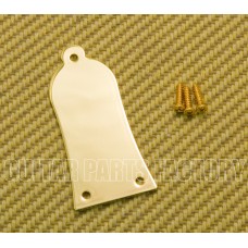 TRC-EGM (1) Gold Metal EPI Style Guitar Truss Rod Cover Plate